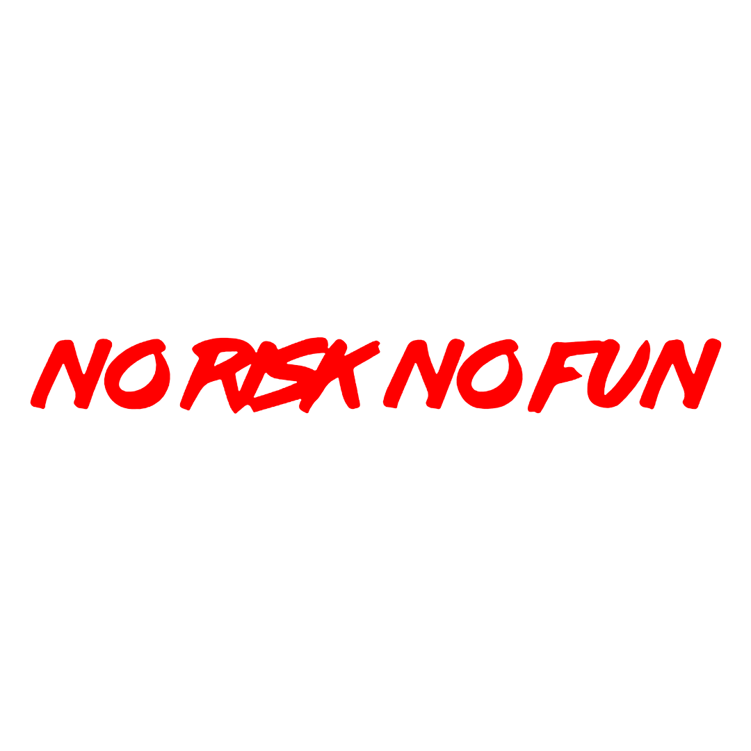 Sticker Parbriz - NO RISK NO FUN