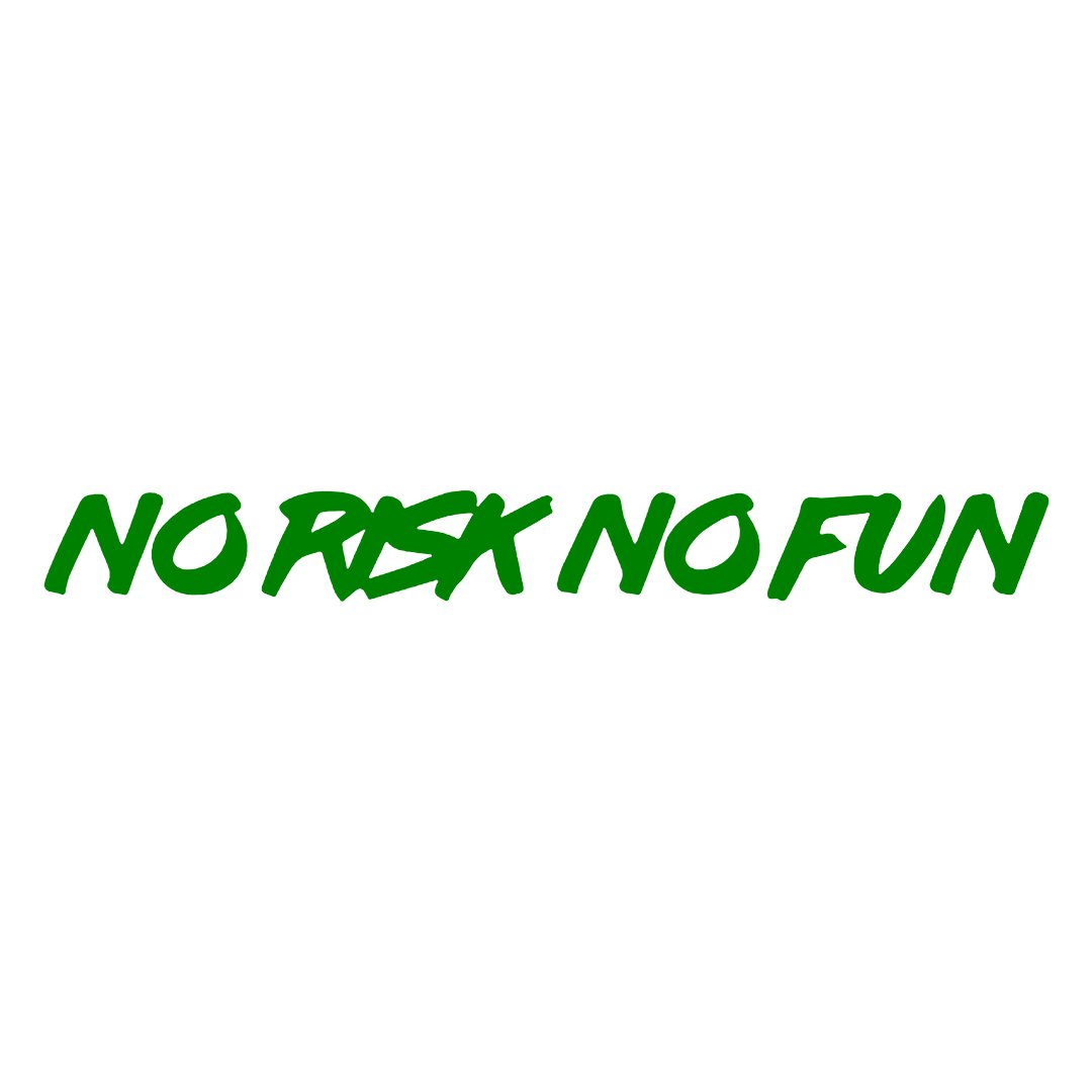 Sticker Parbriz - NO RISK NO FUN