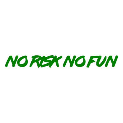 Sticker Parbriz - NO RISK NO FUN