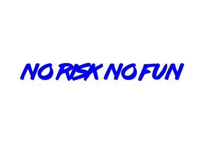 Sticker Parbriz - NO RISK NO FUN