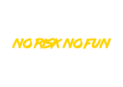 Sticker Parbriz - NO RISK NO FUN