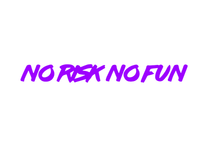 Sticker Parbriz - NO RISK NO FUN