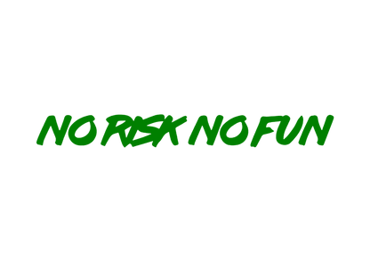 Sticker Parbriz - NO RISK NO FUN