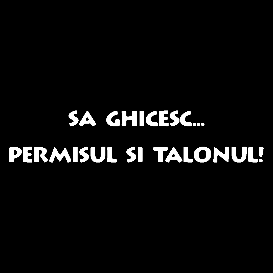 Sticker - PERMISUL SI TALONUL