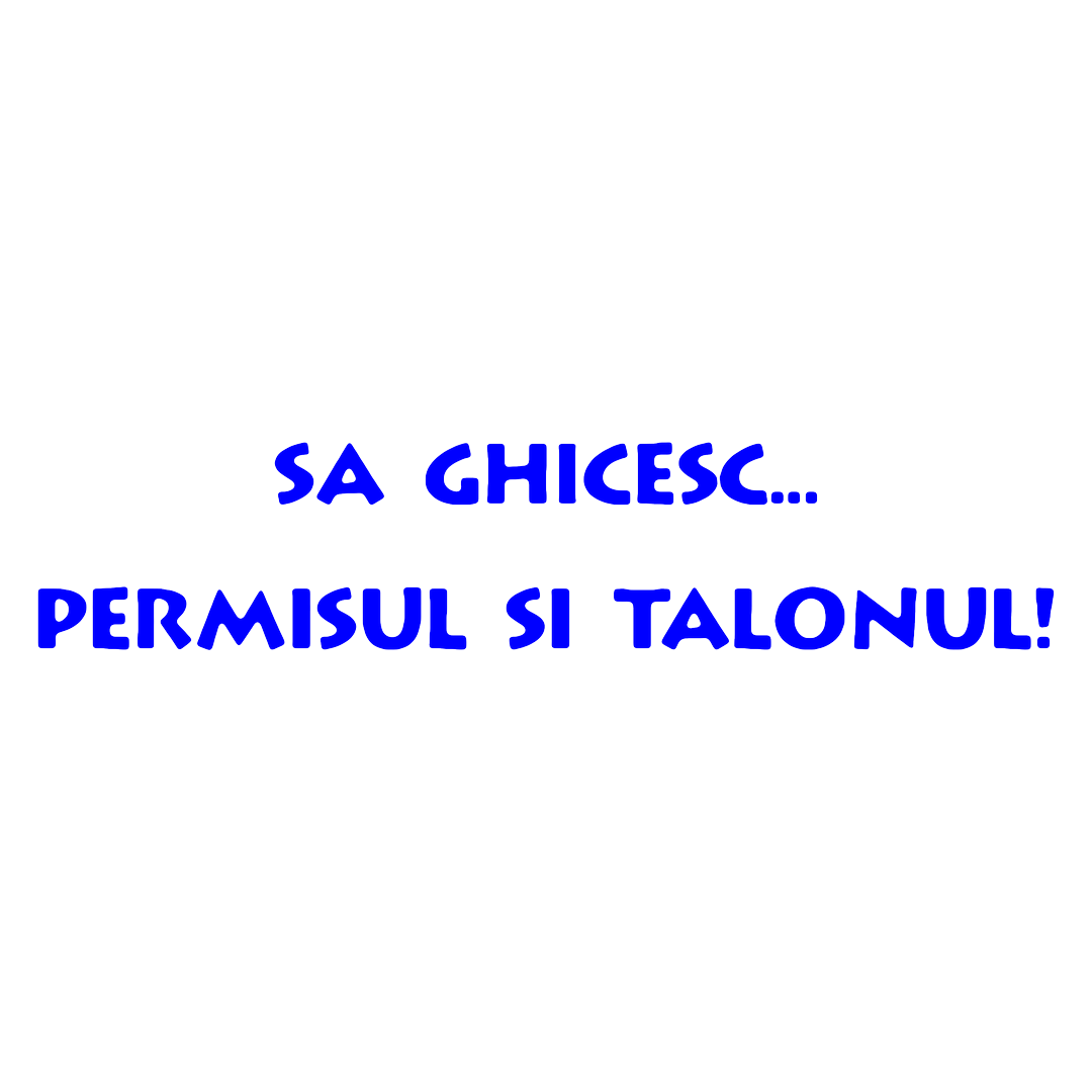 Sticker - PERMISUL SI TALONUL