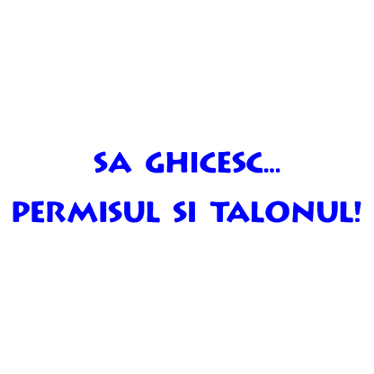 Sticker - PERMISUL SI TALONUL