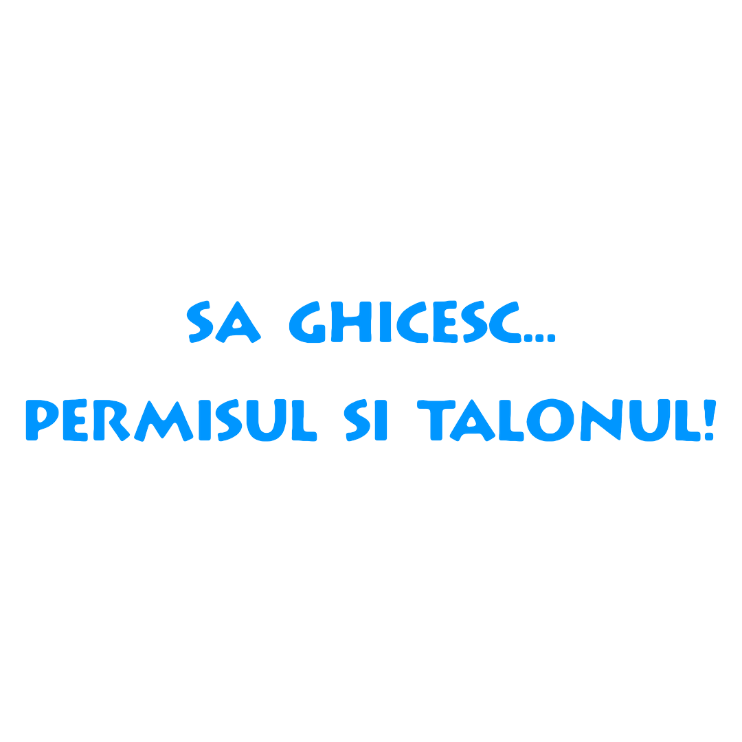 Sticker - PERMISUL SI TALONUL