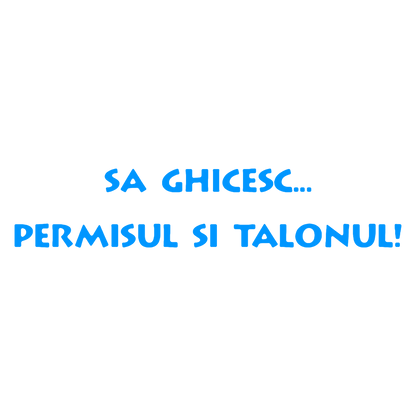 Sticker - PERMISUL SI TALONUL