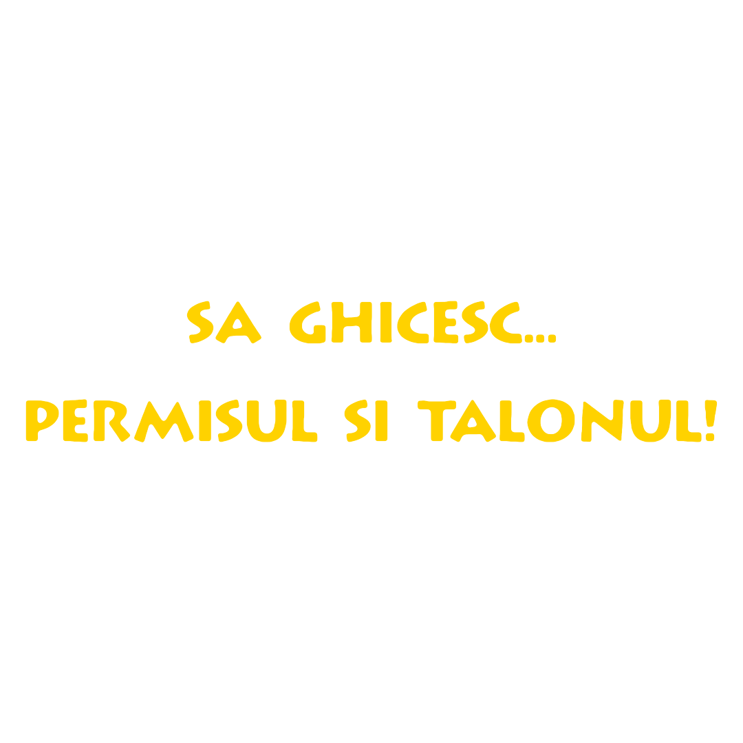 Sticker - PERMISUL SI TALONUL