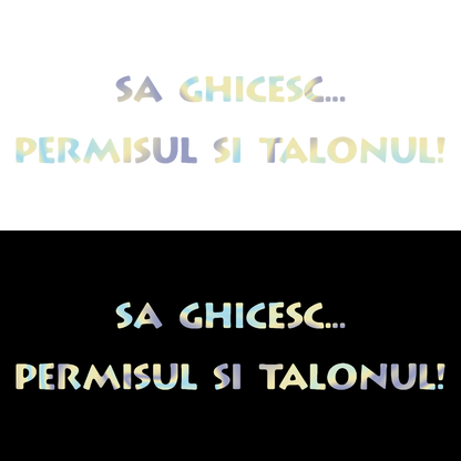 Sticker - PERMISUL SI TALONUL