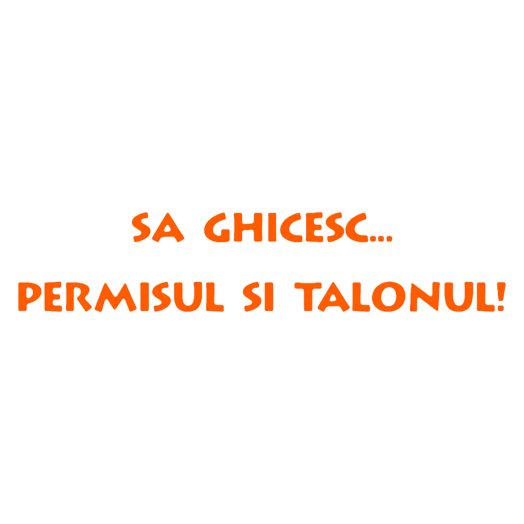 Sticker - PERMISUL SI TALONUL