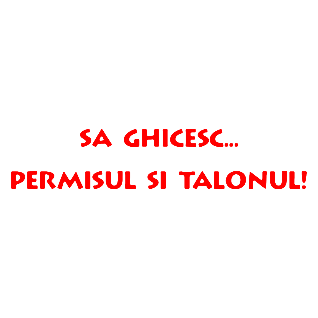 Sticker - PERMISUL SI TALONUL