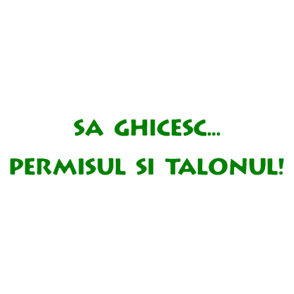 Sticker - PERMISUL SI TALONUL