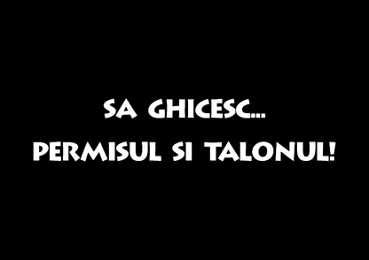 Sticker - PERMISUL SI TALONUL