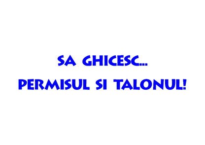 Sticker - PERMISUL SI TALONUL