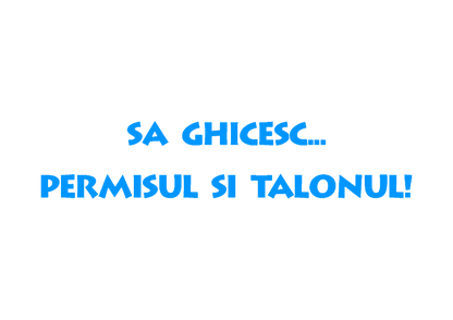 Sticker - PERMISUL SI TALONUL