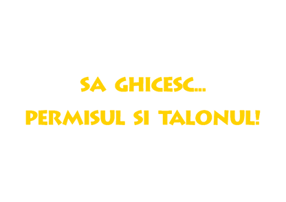 Sticker - PERMISUL SI TALONUL