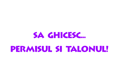 Sticker - PERMISUL SI TALONUL