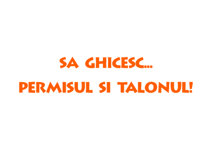 Sticker - PERMISUL SI TALONUL