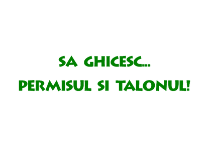 Sticker - PERMISUL SI TALONUL