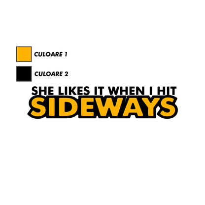 Sticker - SHE LIKES IT WHEN I HIT SIDEWAYS