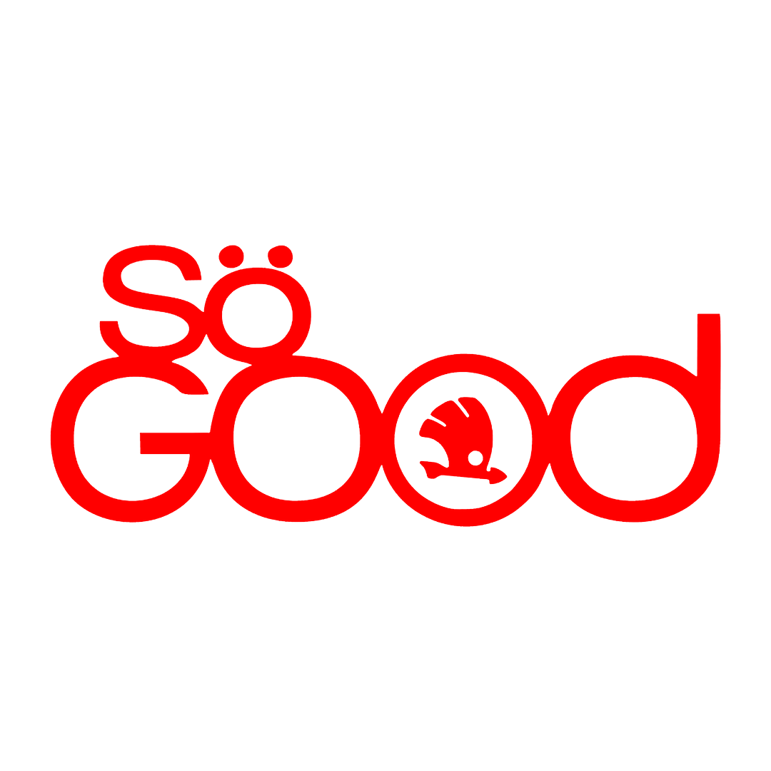 Sticker - SKODA SO GOOD