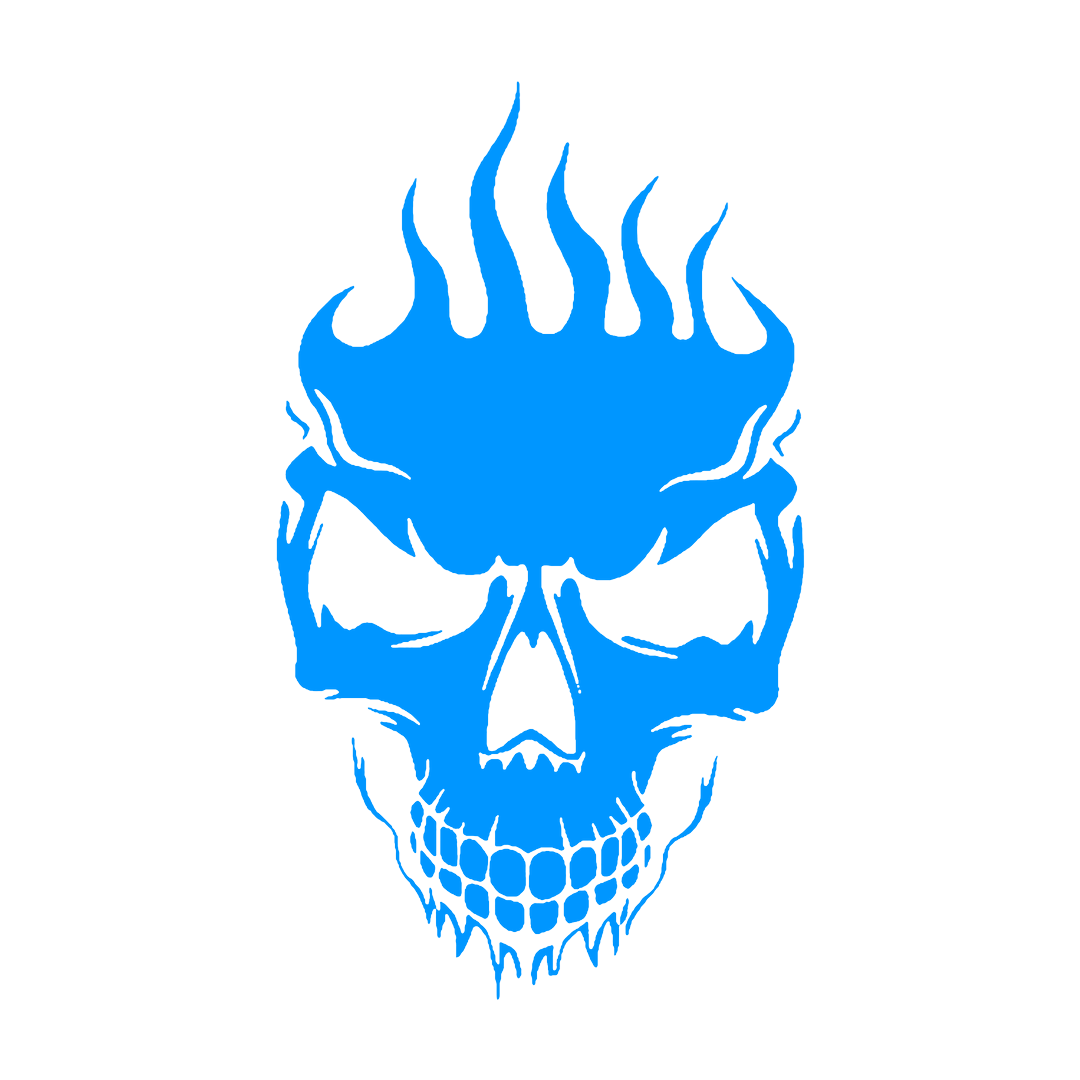 Sticker - SKULL FLAME 2