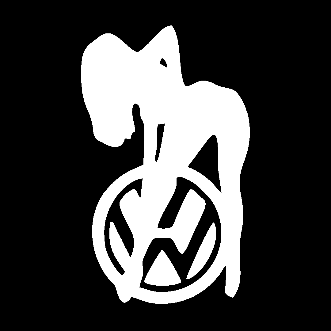 Sticker - VOLKSWAGEN GIRL 9